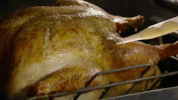 turkey time GIF