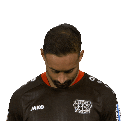 Bayer 04 Hello Sticker by Bundesliga