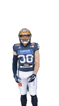 Football Sport Sticker by Dresden Monarchs