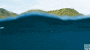 blue planet oceans GIF by BBC America