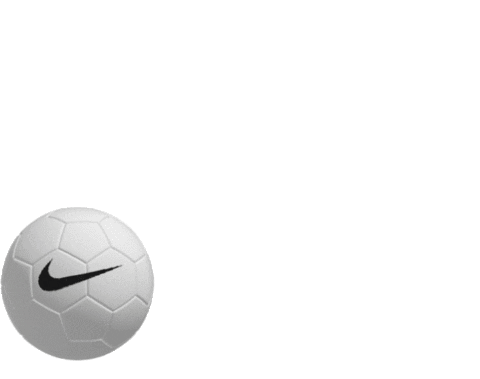 Ball Challenge Sticker by Sprinter