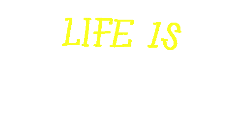 Happy Life Sticker by allpears
