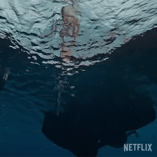 One Piece Swimming GIF by NETFLIX