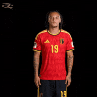 Fifa World Cup Uefa GIF by Respective
