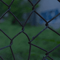 Museum Insects GIF by PBS Digital Studios