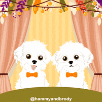 Dogs Dinner GIF by HammyandBrody