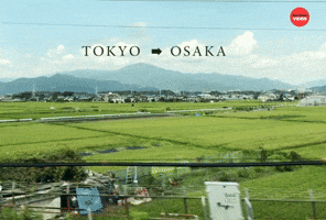 Tokyo to Osaka