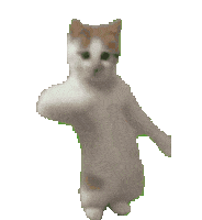 Cat Sticker