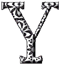 y STICKER