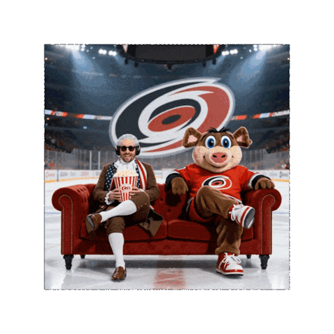 Carolina Hurricanes Sticker