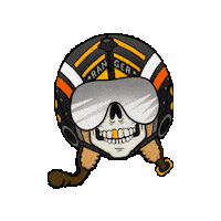 Top Gun Beer Sticker by Voodoo Ranger