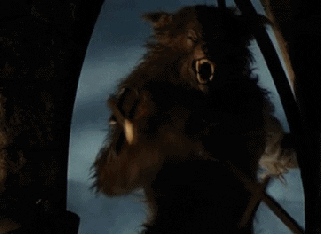an american werewolf in london GIF