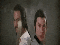 kung fu instructor GIF by Shaw Brothers