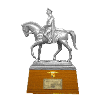 Horse Race Cup Sticker by TJK