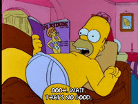 Season 4 Episode 3 GIF by The Simpsons