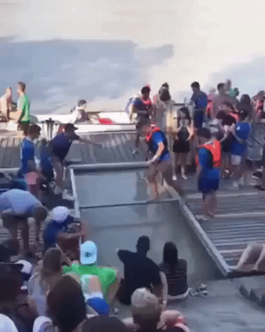 GifJungle giphyupload GIF