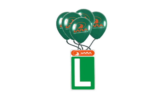 Lara Autoescuela Sticker by Laraaeronautica