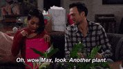 GIF by Call Me Kat