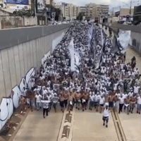 Goiasec GIF