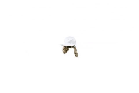 toppaldn giphyupload toppalondon leopardhat dogearhat GIF