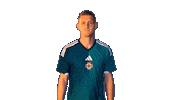 Happy Days Goal Sticker by Northern Ireland