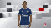 Posing Line Up GIF by Bundesliga