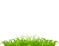 Formasette logo italy italia production Sticker