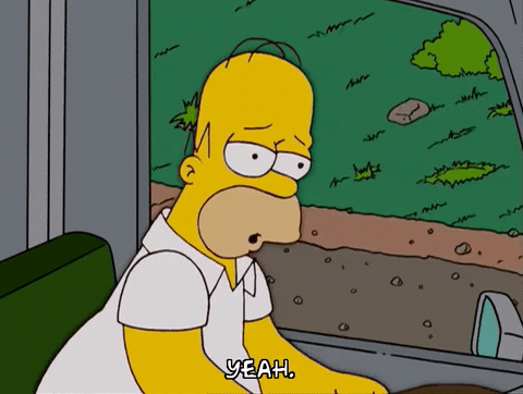 homer simpson GIF