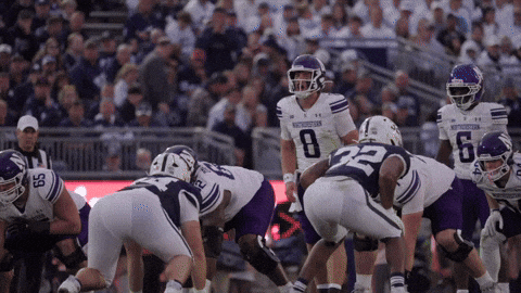 College Football Wildcats GIF by Northwestern Athletics