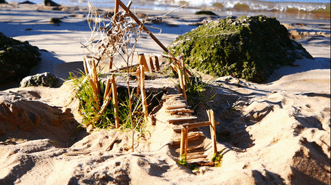 queerdisrupt giphyupload GIF