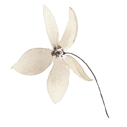Flower Boho Sticker