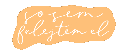 bloomingsentimentspicnic giphyupload picnic csalad piknik Sticker