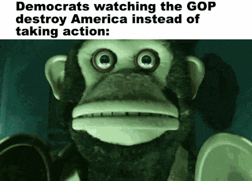 Movie gif. Toy Monkey in Toy Story 3 stares at surveillance monitors, gripped in terror. Caption, “Democrats watching the GOP destroy America instead of taking action.”