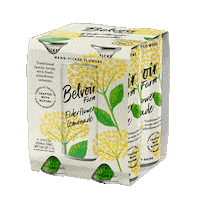 Summer Beach Sticker by Belvoir Lemonades & Cordials