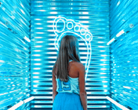 University Of North Carolina College GIF by UNC Tar Heels