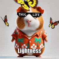 Peace Wisdom GIF by Guinea Gambino