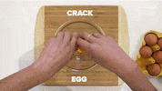 GIF by Mashable