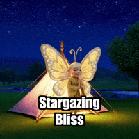 Travel Camping GIF by BuddhaFlyJourney