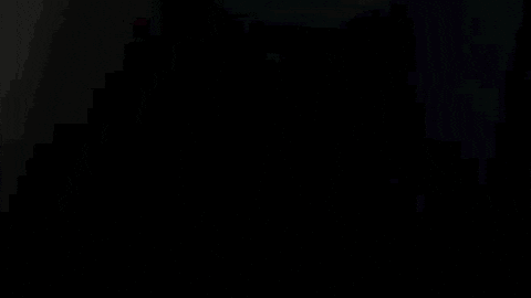 Tv Show Fox GIF by ScreamQueens