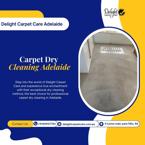 delightcarpetcare giphyupload GIF