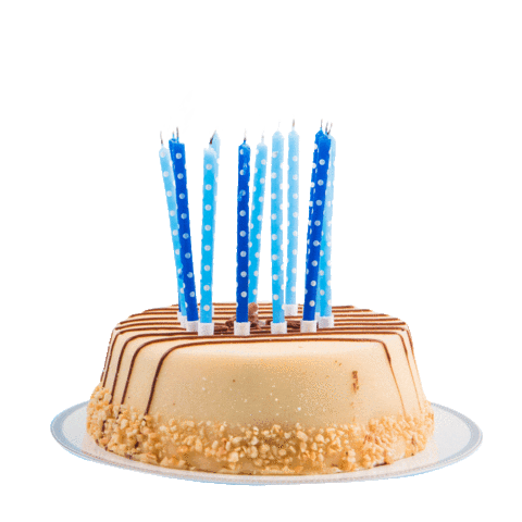 Happy Birthday Cake Sticker by Puntotecdesign