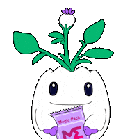 Card Game Casino Sticker by Magic Eden