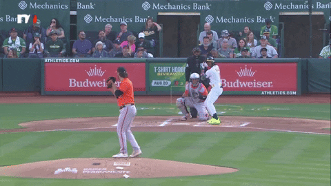 tesstass giphyupload GIF