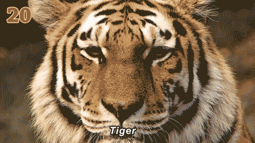 GIF by Channel Frederator