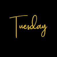 RealBossWomen tuesday weekday realbosswomen tuesdaymorning GIF