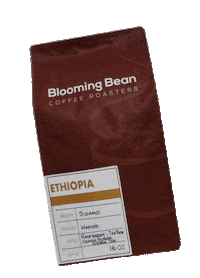 Pompano Beach Florida Sticker by Blooming Bean Coffee Roasters