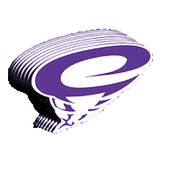 ccscyclones north carolina wilson ccs cyclones Sticker