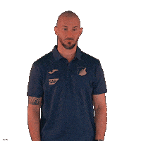 Sport Bundesliga Sticker by TSG Hoffenheim