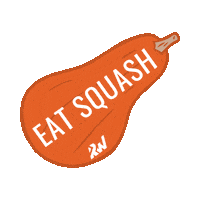 Squash Sticker by Revelation Wellness