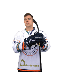 Sport Hokej Sticker by HCSTADION